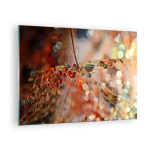 Obraz na skle - Kvapky vody na jemnej pavučine v bokeh svetle - 70x50cm - Navlečené na pavučinu - Moderná nástenná dekorácia do obývacej izby a spálne ARTTOR
