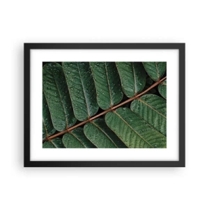 Plagát v čiernom ráme - V zelenom rytme - 40x30 cm