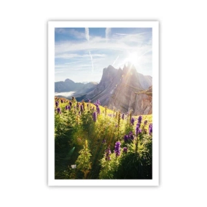 Plagát - Tajomný život bylín - 61x91 cm