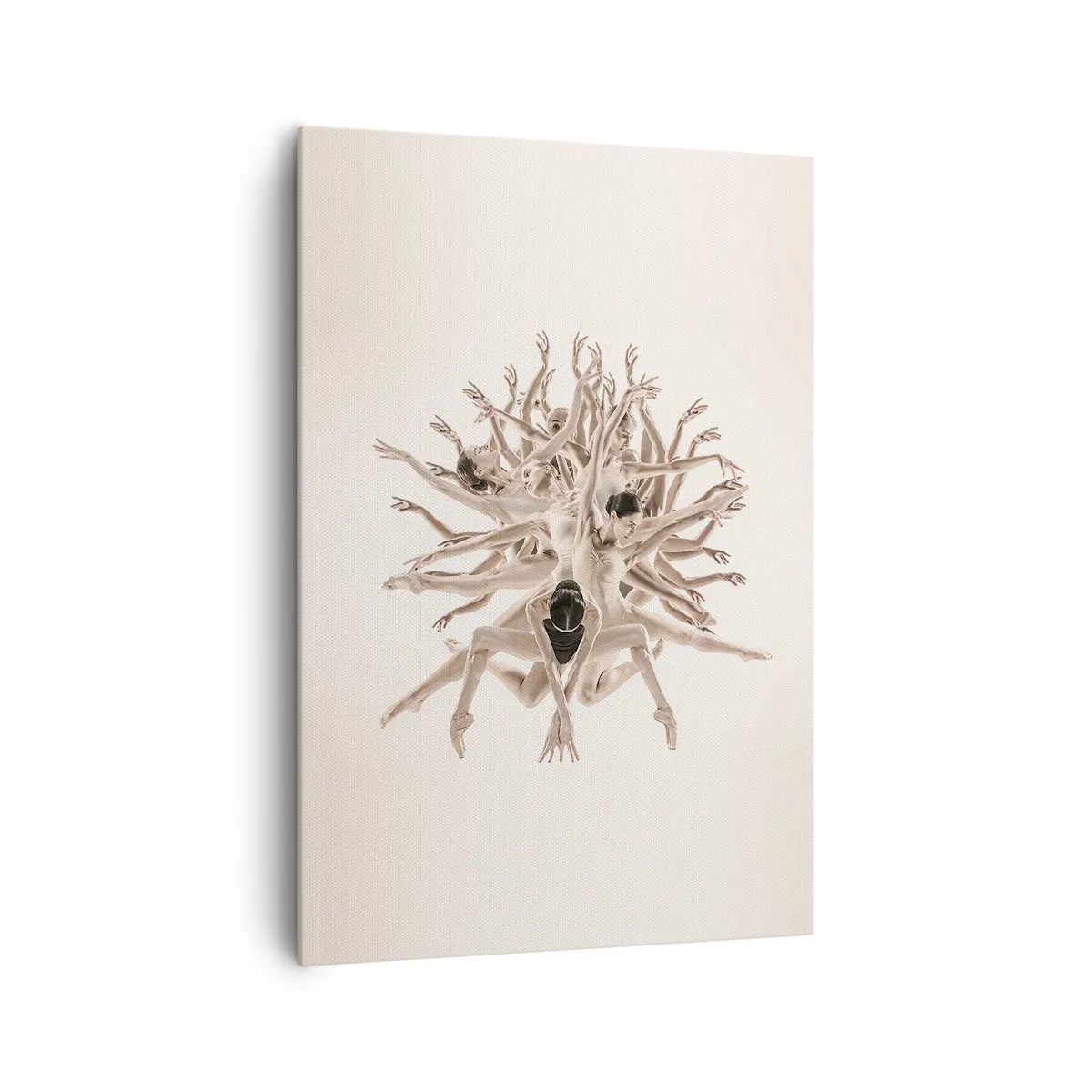 Obraz na plátne - Rozkvet v tanci - 70x100 cm