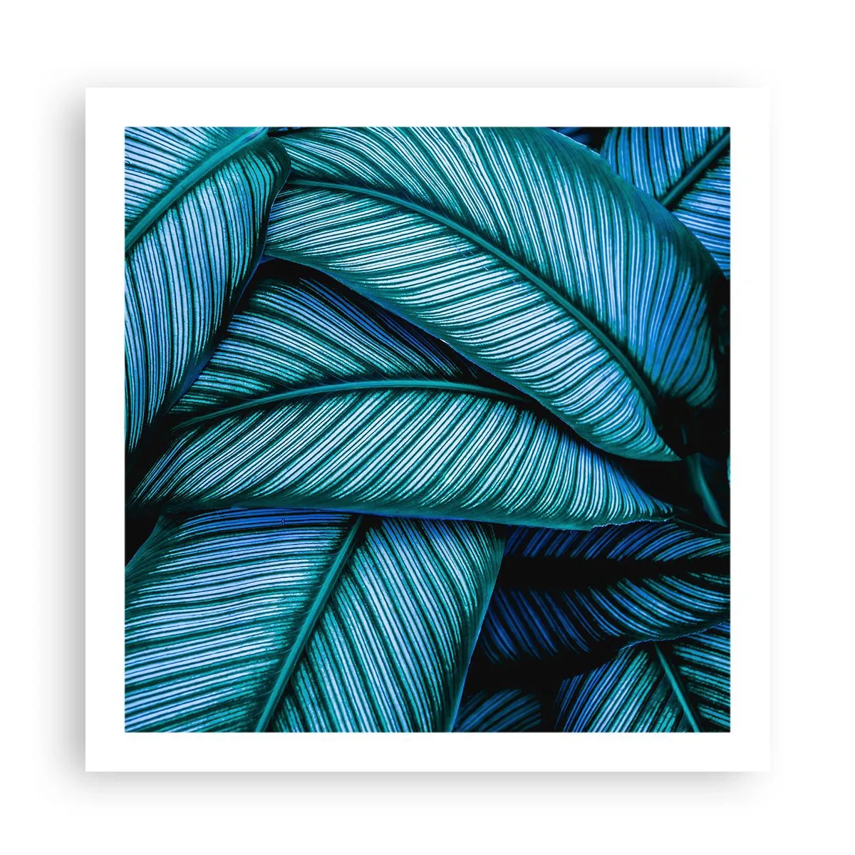 Plagát - Čiary života - 60x60 cm