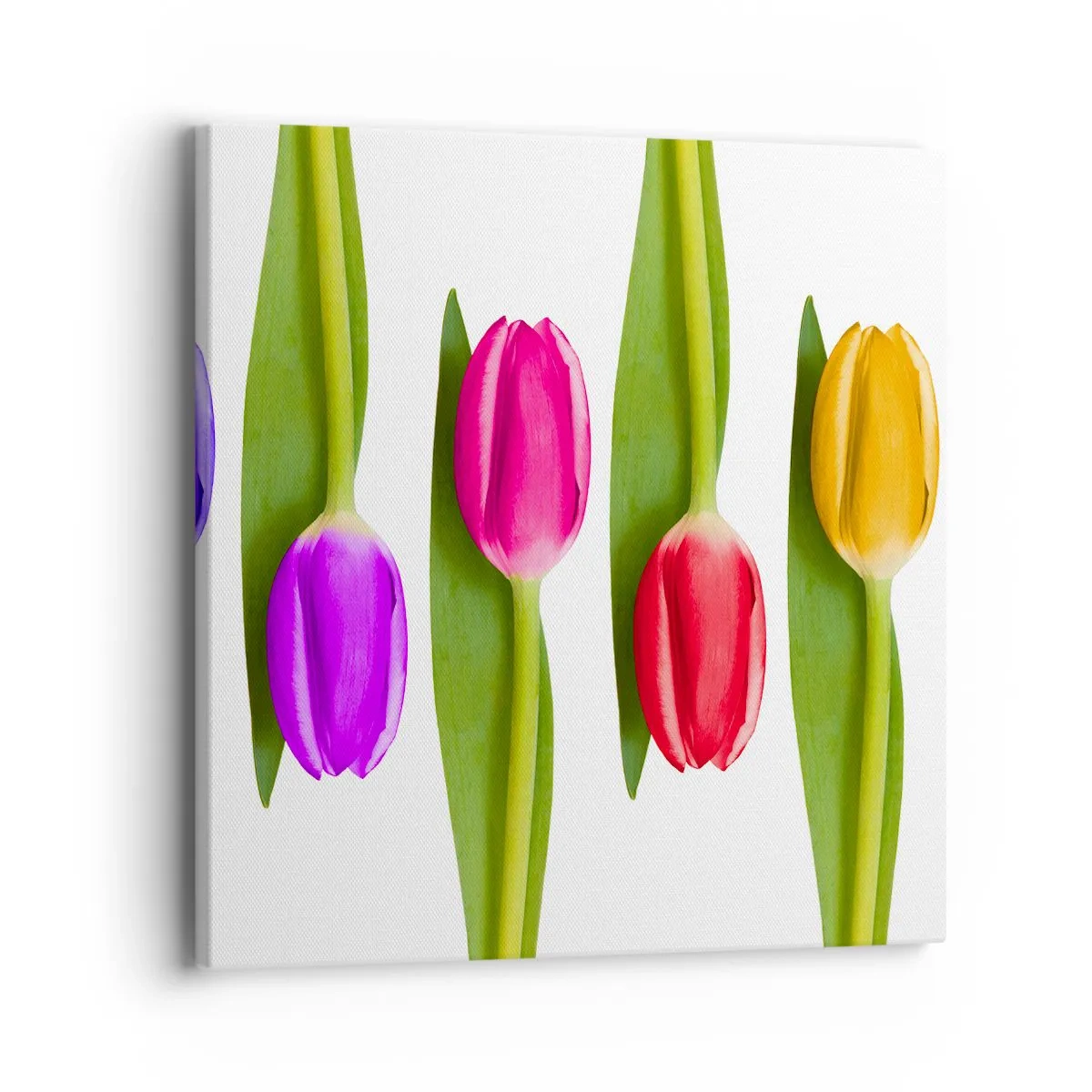 Obraz na plátne - Dúhová kompozícia - 40x40 cm