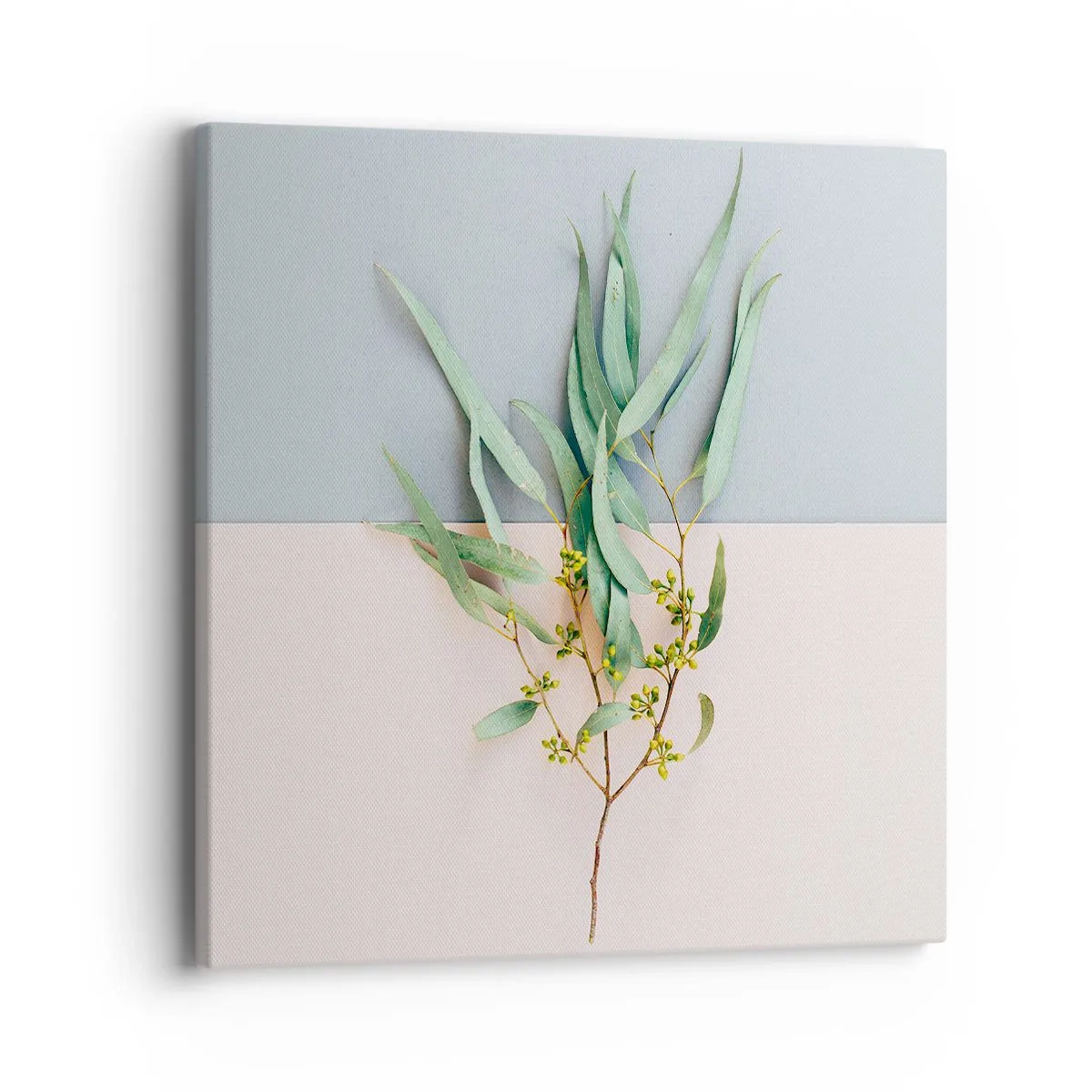 Obraz na plátne - Pastelová jemnosť - 40x40 cm