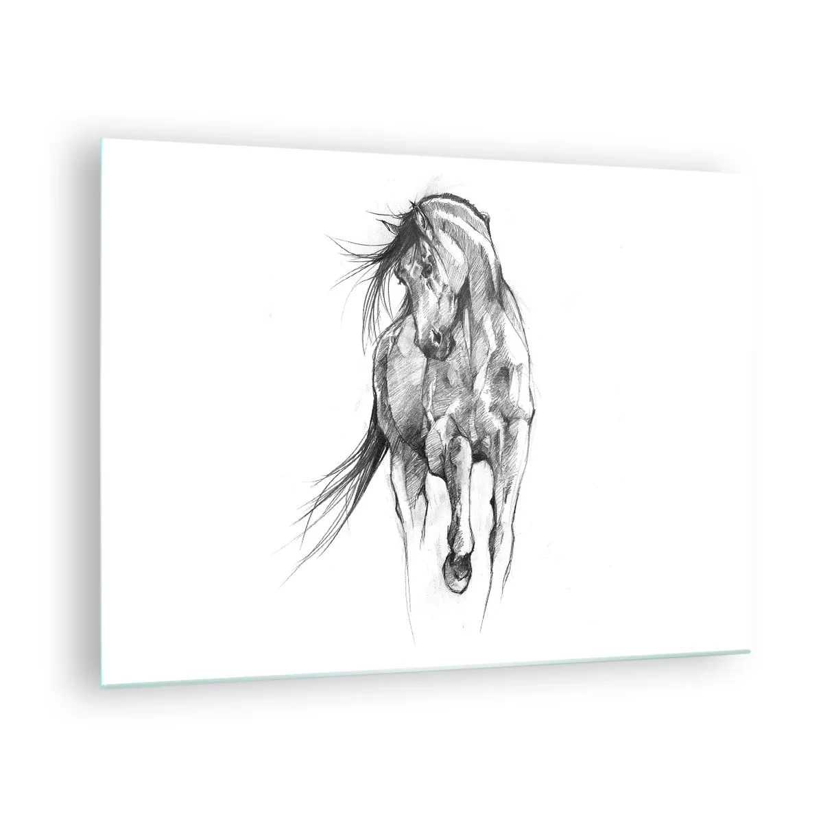 Obraz na skle - Náčrt cválajúceho koňa v minimalistickom štýle - 70x50cm - V ladnom kluse - Moderná nástenná dekorácia do obývacej izby a spálne ARTTOR