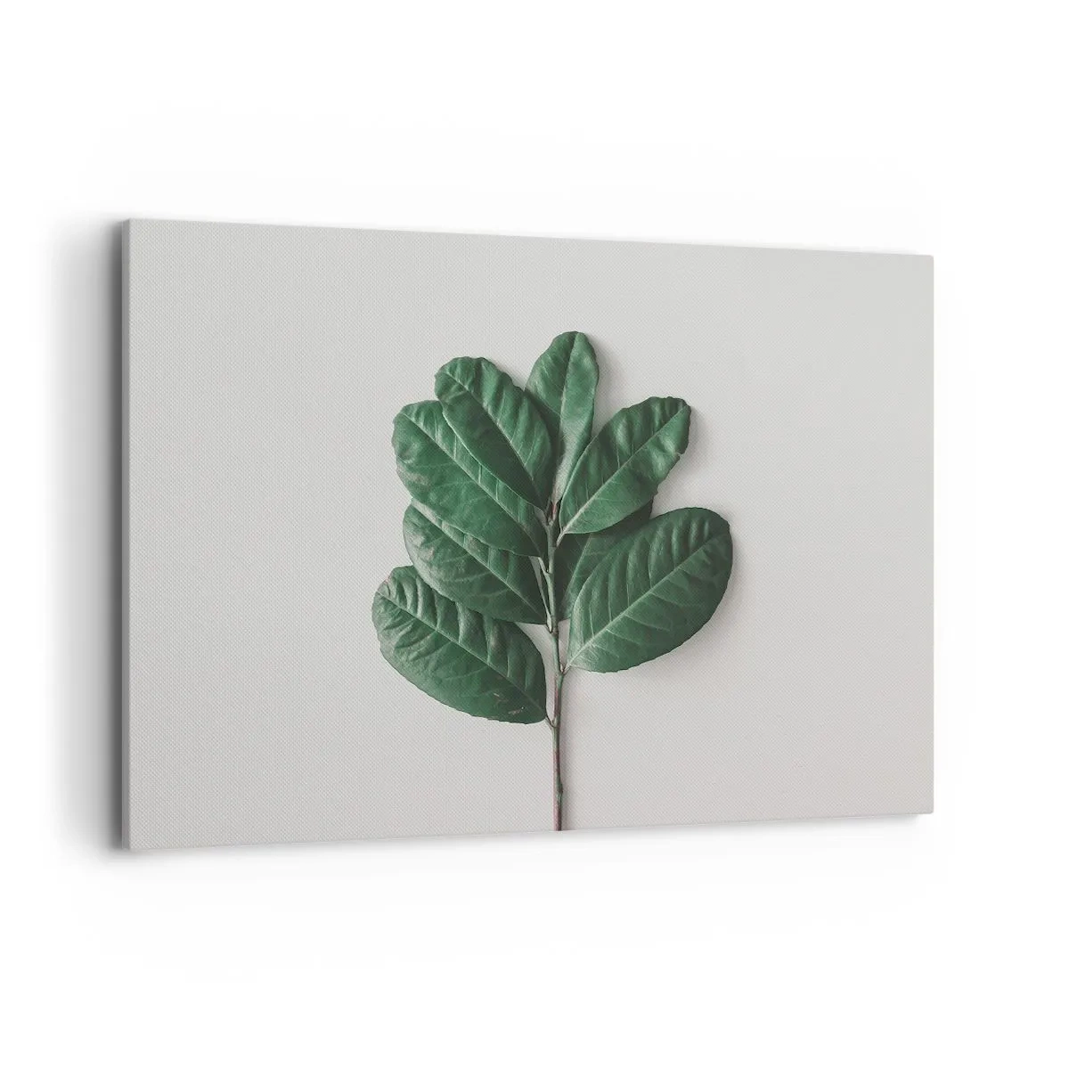 Obraz na plátne - Kresba samotnej prírody - 120x80 cm