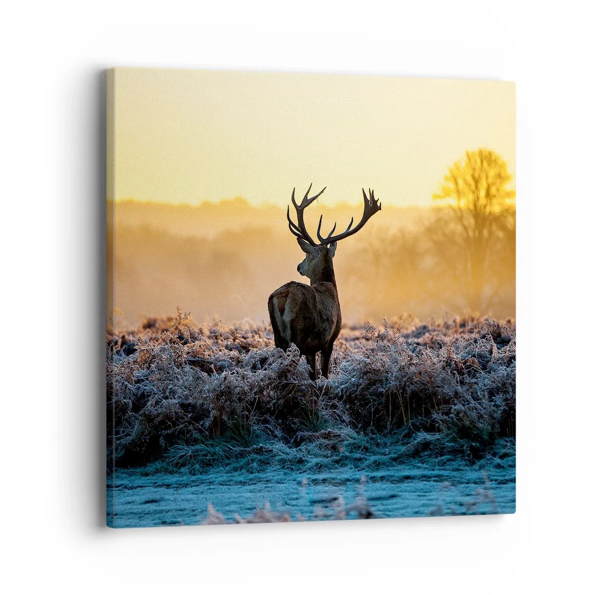 Obraz na plátne - Korunovaný na svojom panstve - 40x40 cm