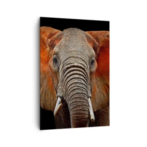 Obraz na plátne - Som divoký, a ty? - 70x100 cm