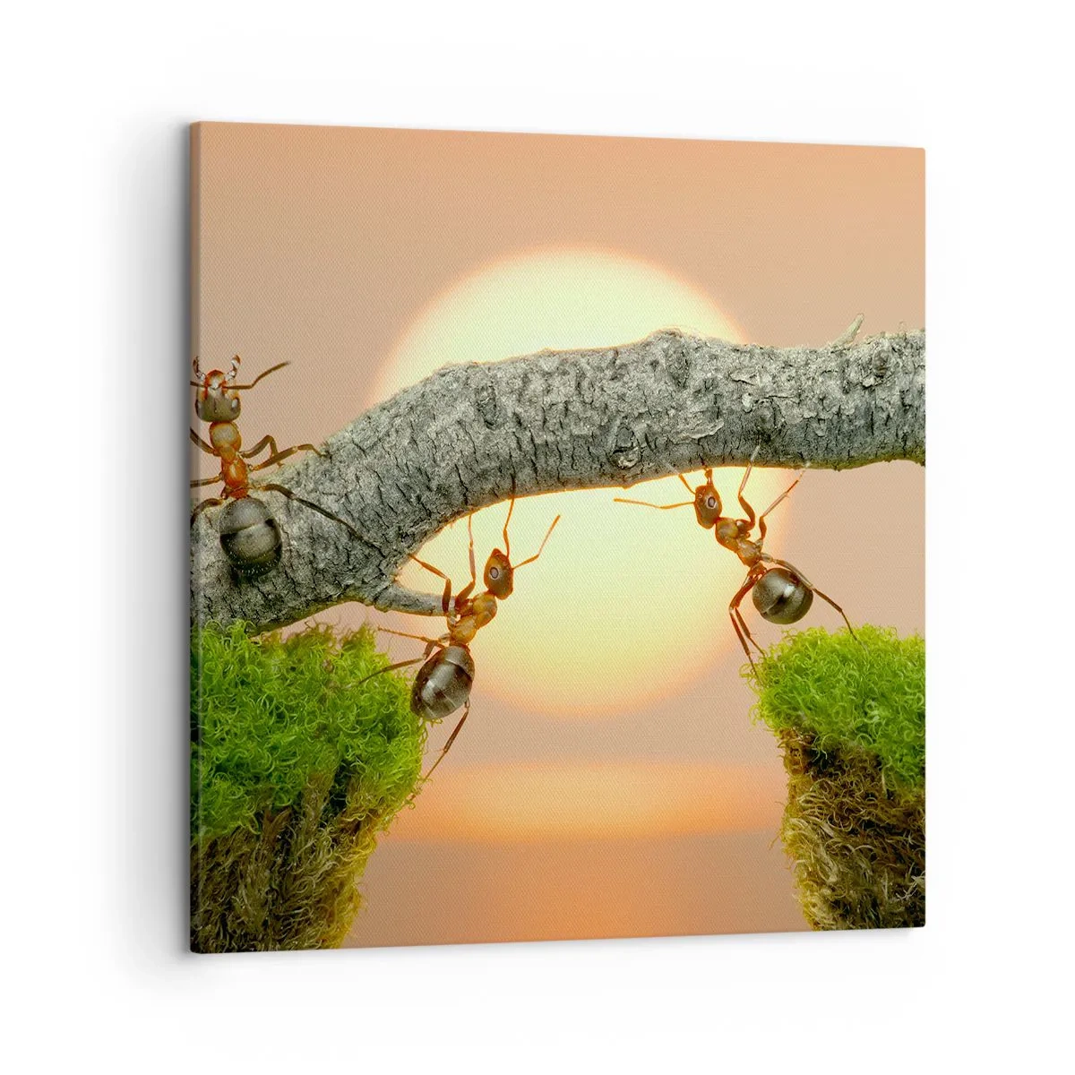 Obraz na plátne - Radostná, spoločná práca - 50x50 cm