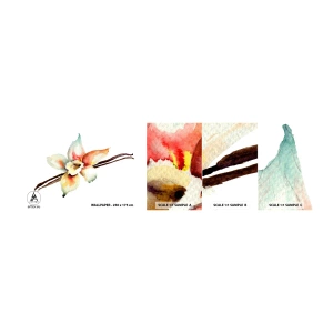 Vzorka Fototapeta Standard Eco - Farbičkou rozliata sladkosť - Vanilkový kvet, Kvetina, Vanilková tyčinka - 100x30 cm