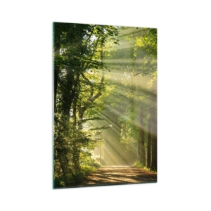 Obraz na skle - Lesný okamih - 50x70 cm