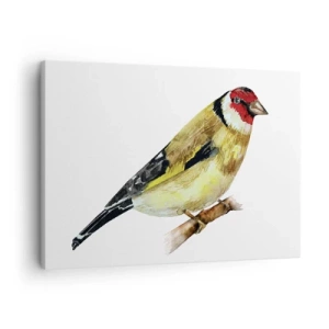 Obraz na plátne - Vták s červenou hlavou na konári - 70x50cm - Vtáčí portrét - Moderná nástenná dekorácia do obývacej izby a spálne ARTTOR