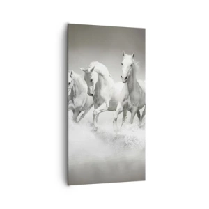 Obraz na plátne - Biele šialenstvo - 65x120 cm