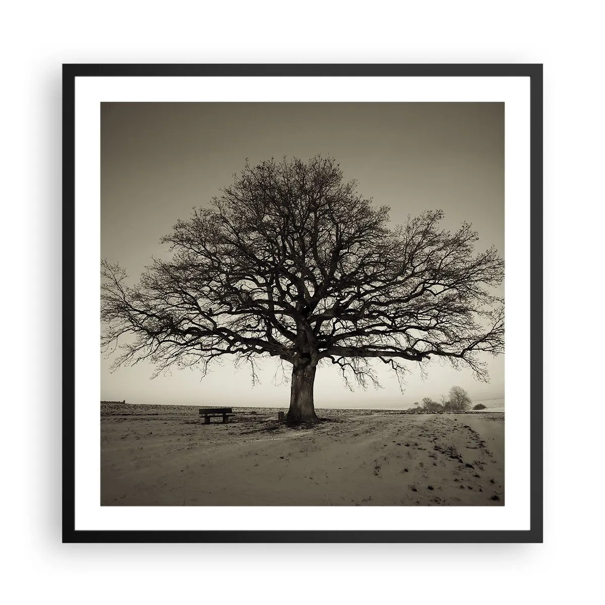 Plagát v čiernom ráme - Odtiaľ až do večnosti - 60x60 cm