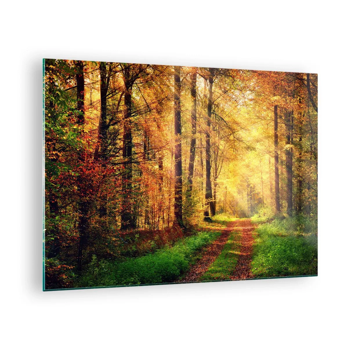 Obraz na skle - Jesenný chodník v lese so slnečnými lúčmi - 70x50cm - Lesno-zlaté ticho - Moderná nástenná dekorácia do obývacej izby a spálne ARTTOR