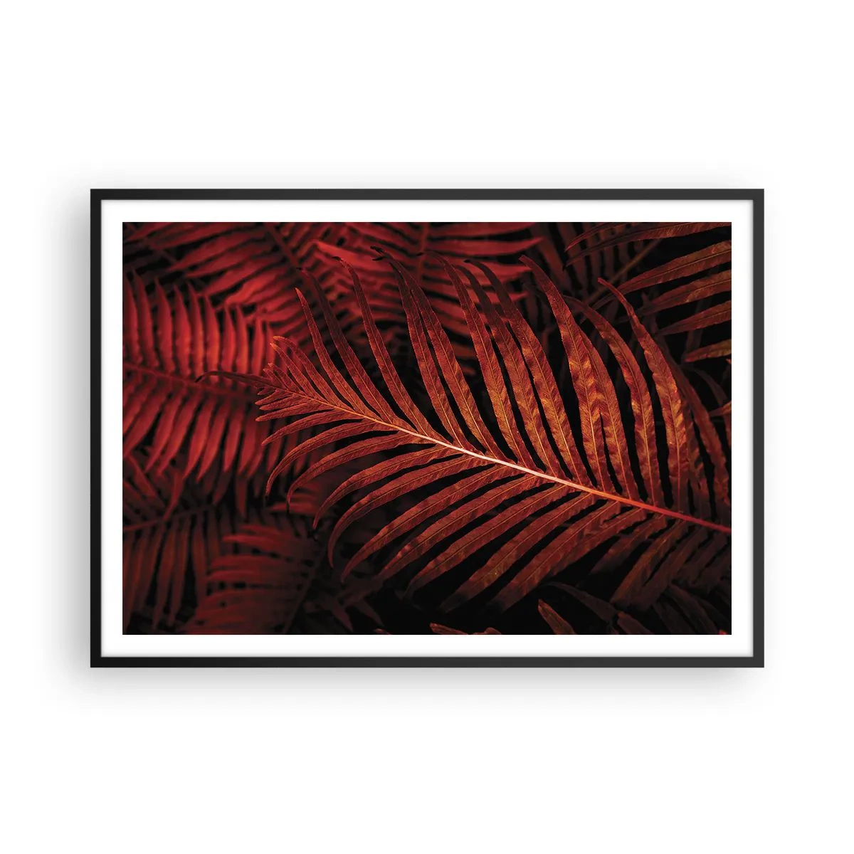 Plagát v čiernom ráme - Žiar života - 100x70 cm