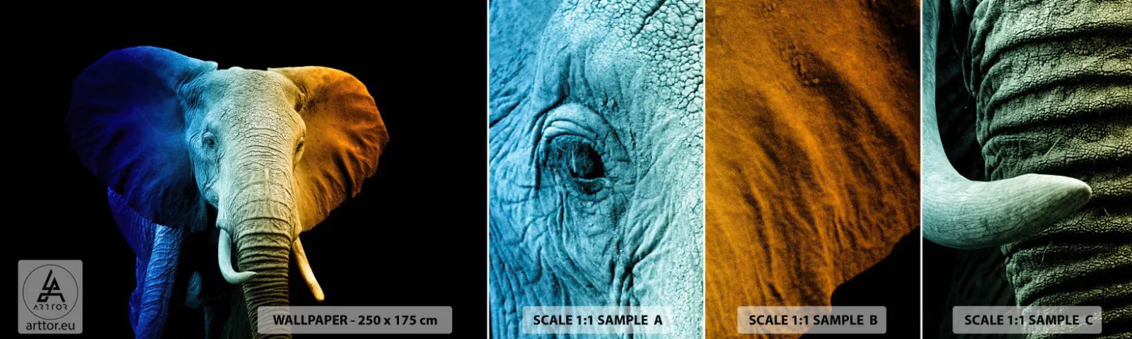 Vzorka samolepiacej fototapety Deluxe Sticker - Excentrický muž, avšak nie podivín - Abstrakcia, Slon, Zvieratá - 100x30 cm