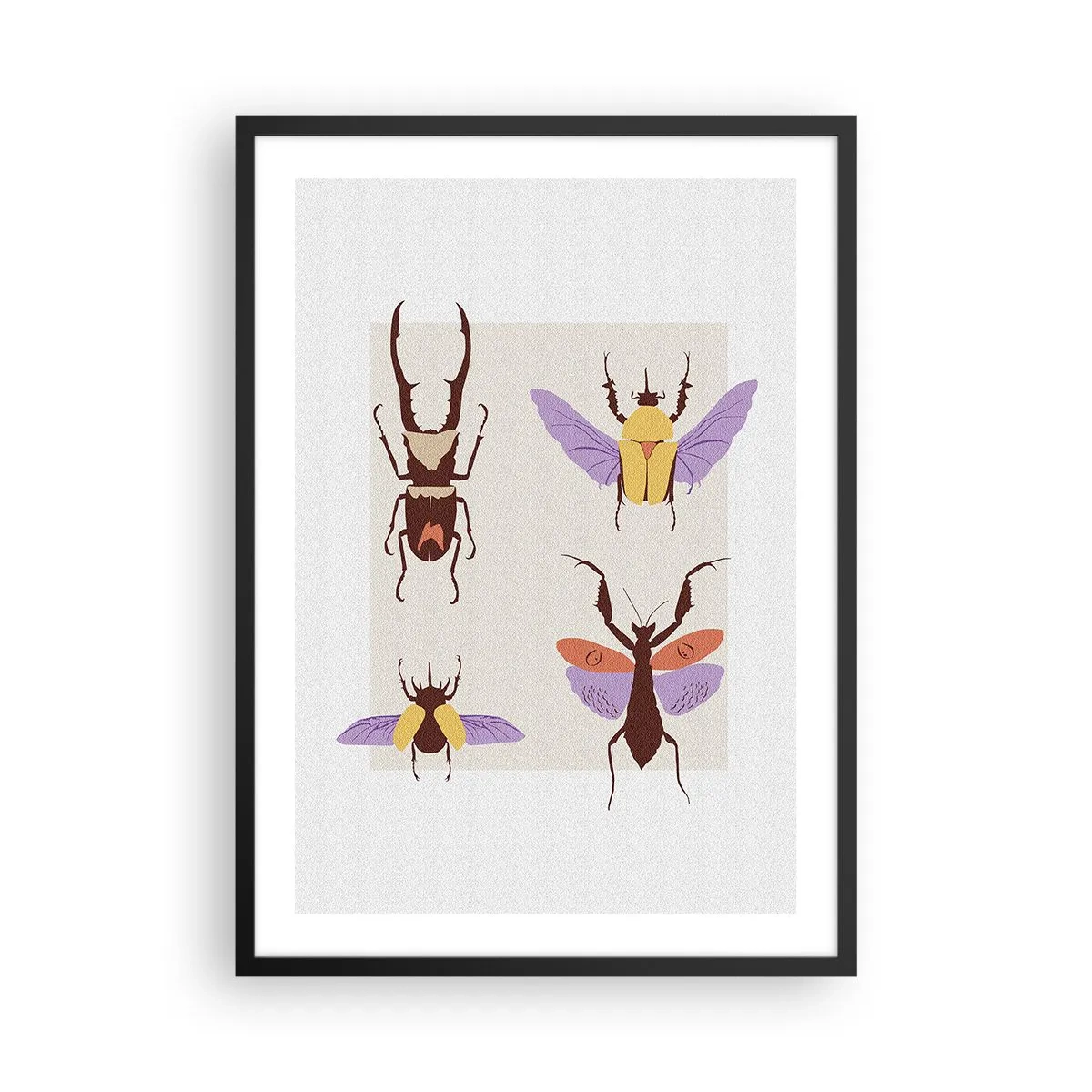 Plagát v čiernom ráme - Farebné chrobáky na svetlom pozadí - 50x70cm - Hmyzí svet - Moderná nástenná dekorácia do obývacej izby a spálne ARTTOR