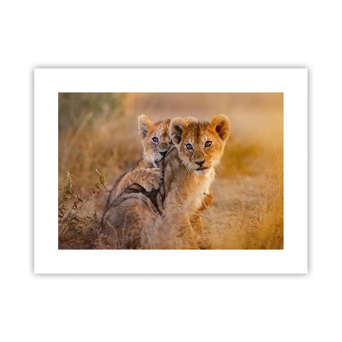 Plagát - Nevyrušovať! Hrajme sa - 40x30 cm