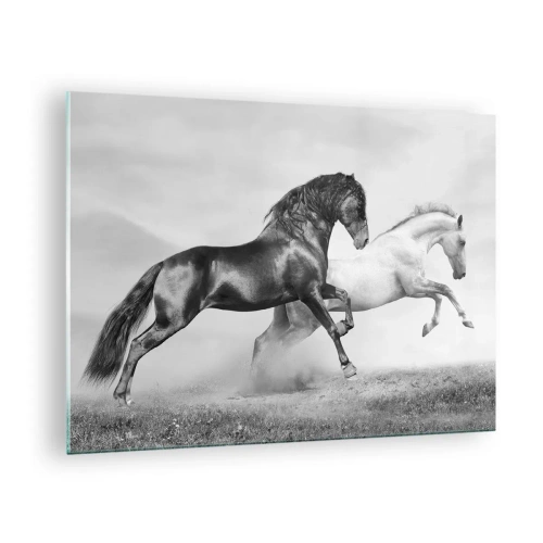 Obraz na skle - Čiernobiele kone v dynamickom prostredí - 70x50cm - Anjeli a démoni - Moderná nástenná dekorácia do obývacej izby a spálne ARTTOR