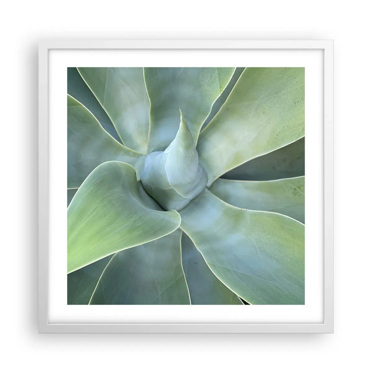 Plagát v bielom ráme - Zrodenie zelene - 50x50 cm