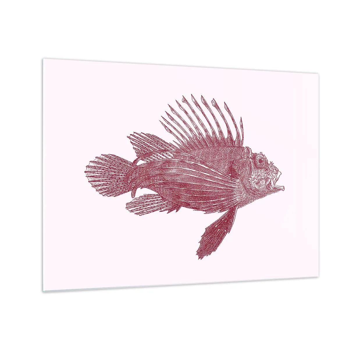 Obraz na skle - Náčrt exotickej ryby v bordovej farbe na svetlom pozadí - 70x50cm - Obyvateľka exotických vôd - Moderná nástenná dekorácia do obývacej izby a spálne ARTTOR