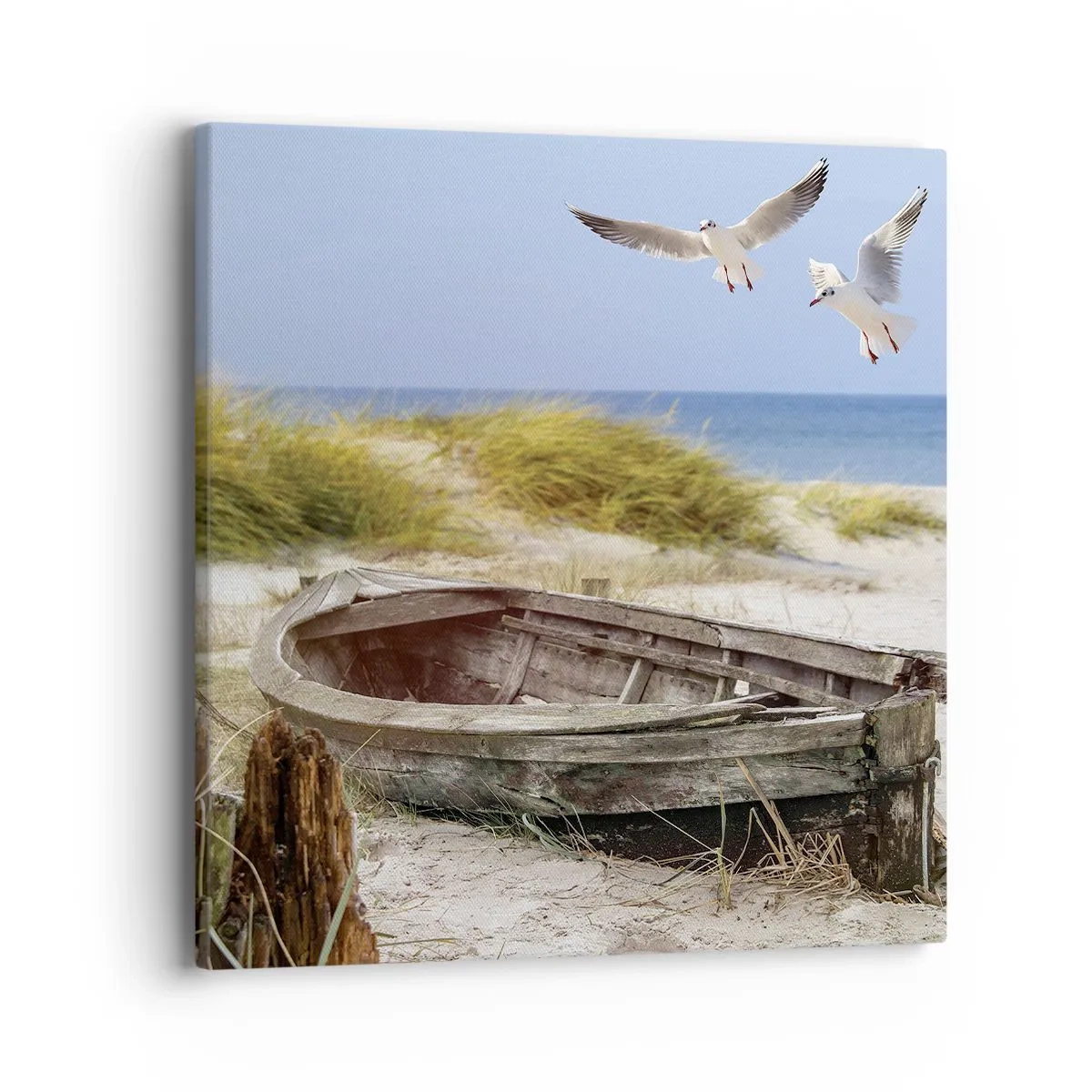 Obraz na plátne - Vetrom ožiarené - 40x40 cm