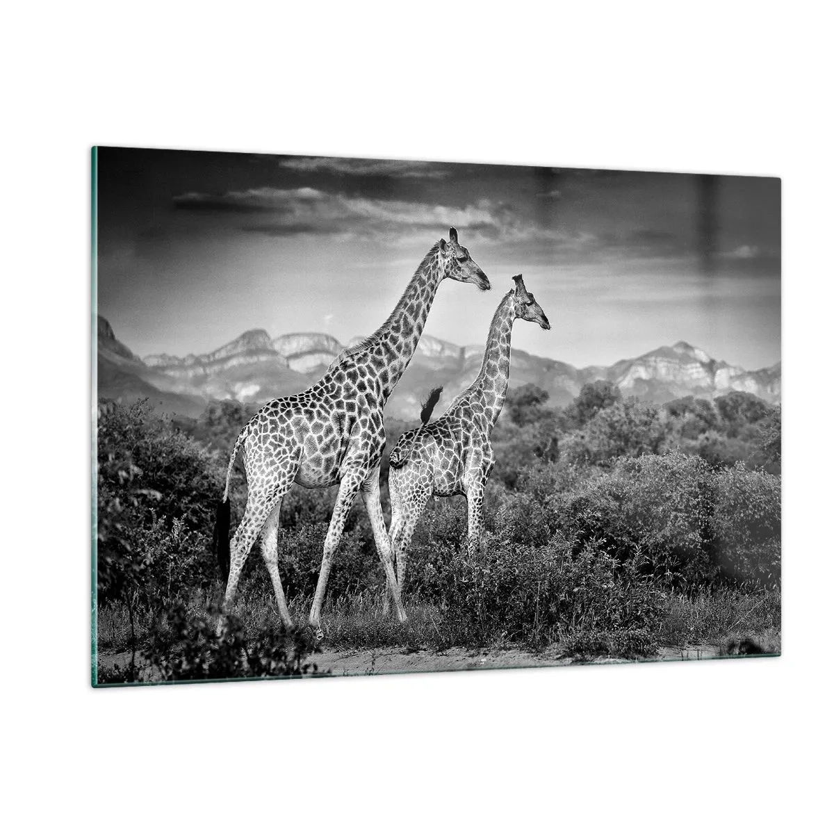 Obraz na skle - Vyššie kruhy v Afrike - 120x80 cm