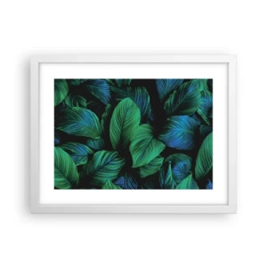 Plagát v bielom ráme - V zelenom dave - 40x30 cm