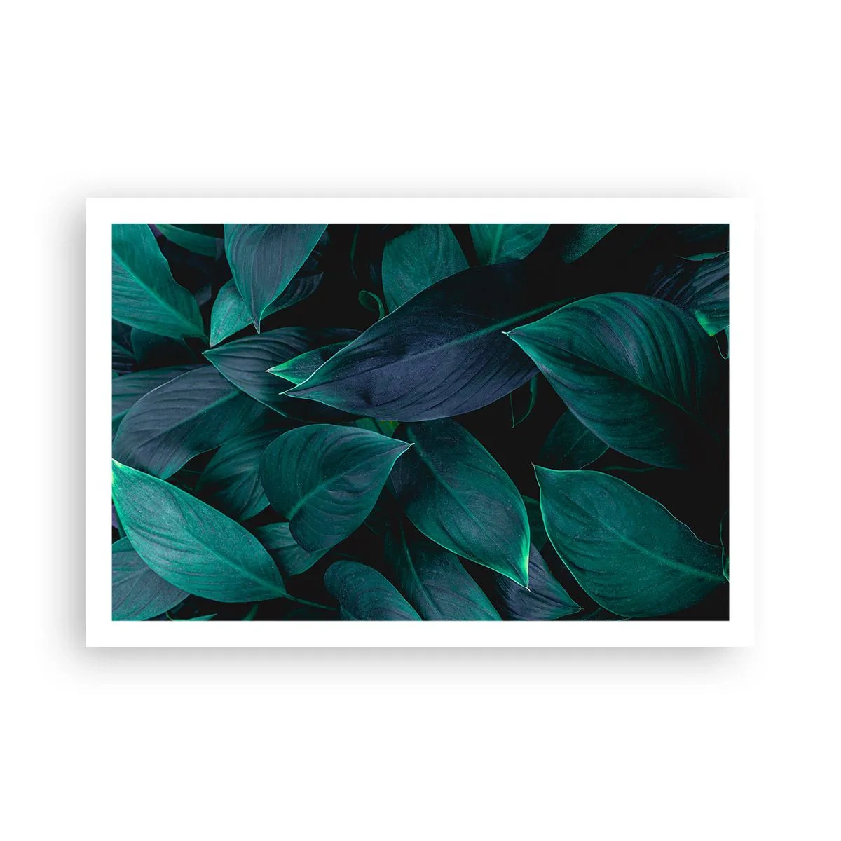 Plagát - Zeleň sama o sebe - 91x61 cm