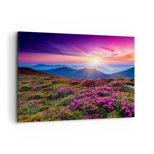 Obraz na plátne - Zavoňali svieže púčiky byliniek z obilných polí - 100x70 cm