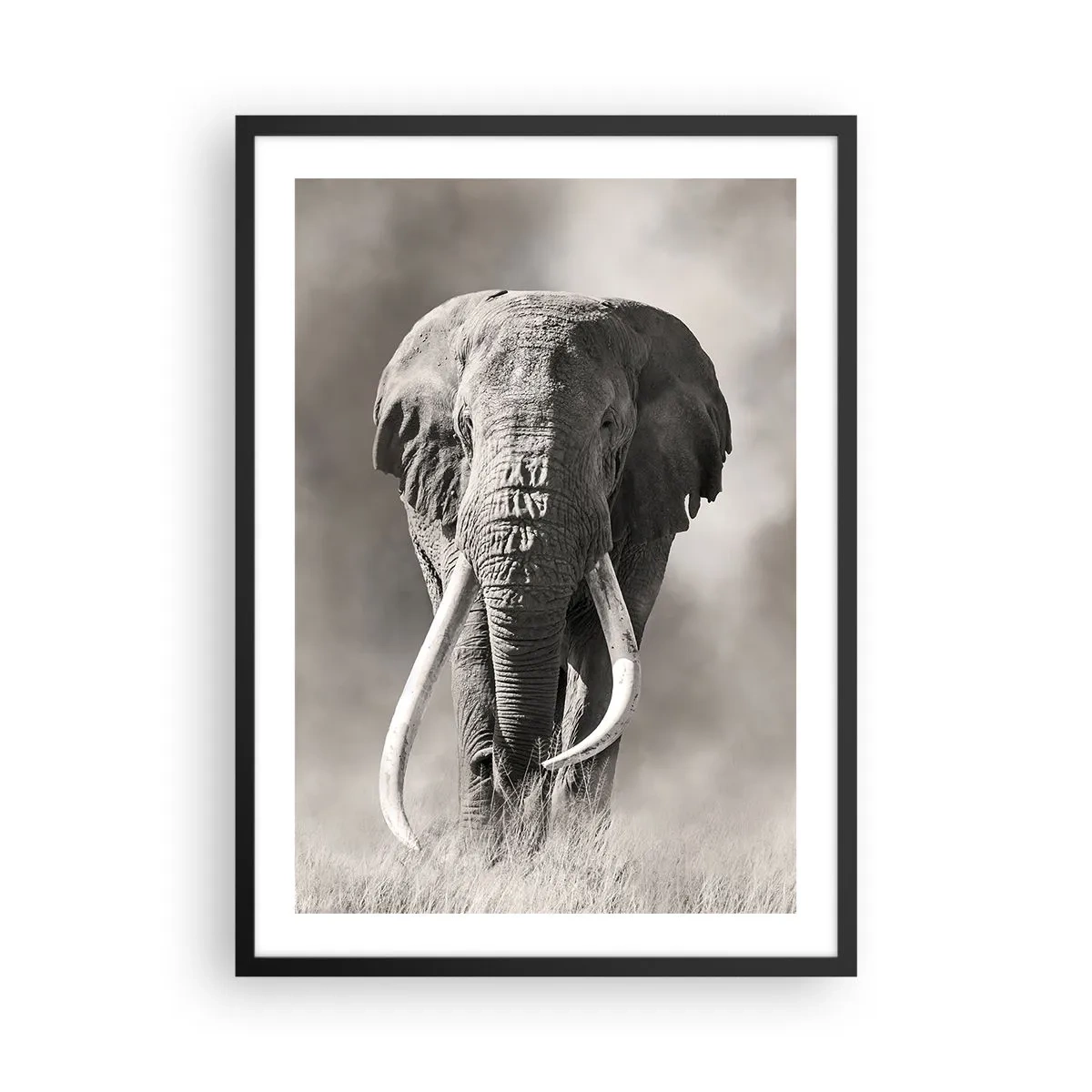 Plagát v čiernom ráme - Monochromatický portrét majestátneho slona - 50x70cm - Africký patriarcha - Moderná nástenná dekorácia do obývacej izby a spálne ARTTOR
