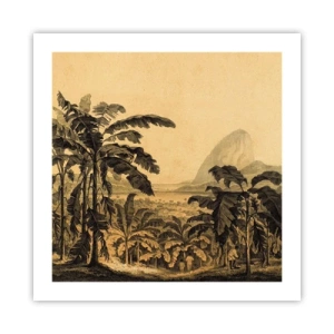 Plagát - V koloniálnom štýle - 50x50 cm