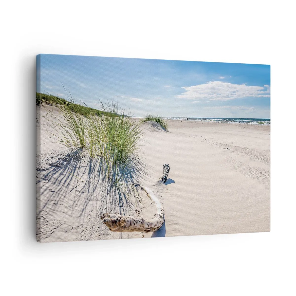 Obraz na plátne - Baltská pláž s pieskom, trávou a pokojnou modrou oblohou - 70x50cm - Najkrajšia? Baltská - Moderná nástenná dekorácia do obývacej izby a spálne ARTTOR