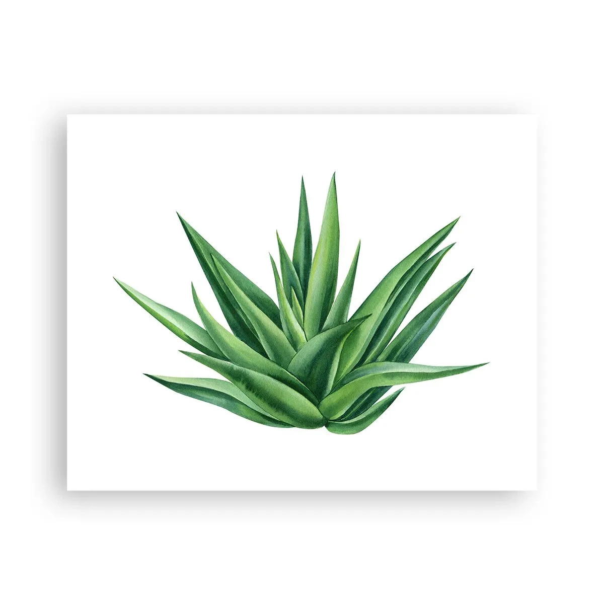 Plagát - Zelená – sila – život - 50x40 cm