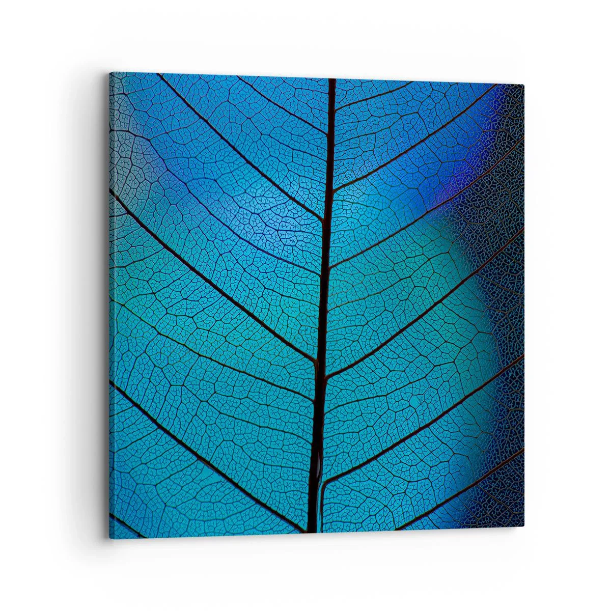 Obraz na plátne - Až do detailov - 70x70 cm