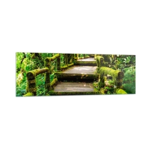 Obraz na skle - Chodbou zelene - 160x50 cm