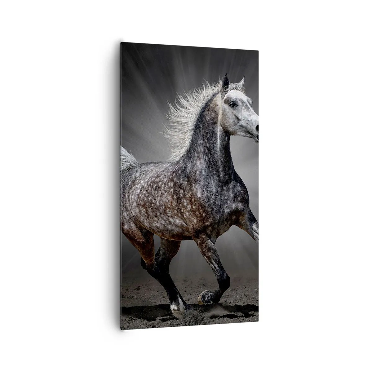 Obraz na plátne - Sivé je krásne - 65x120 cm