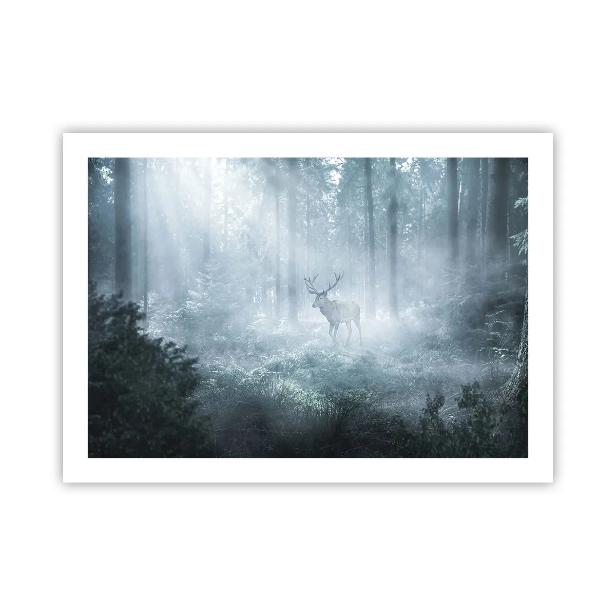 Plagát - Ranná obchôdzka sídliska - 70x50 cm