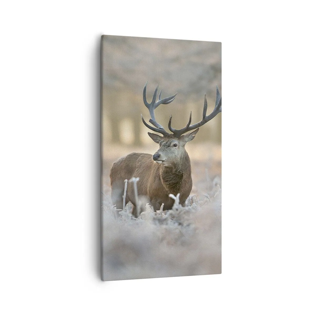 Obraz na plátne - Svieže ráno - 55x100 cm