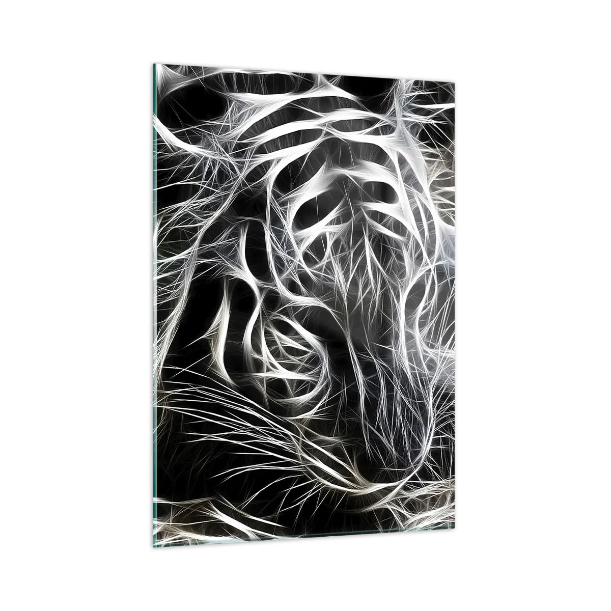 Obraz na skle - Štúdia mačacej ľahkosti - 50x70 cm