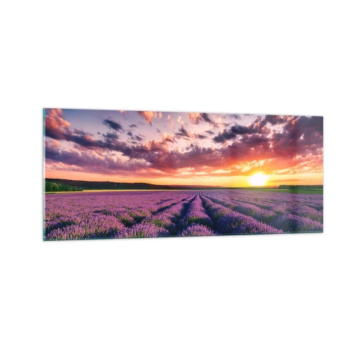 Obraz na skle - Levanduľový svet - 100x40 cm