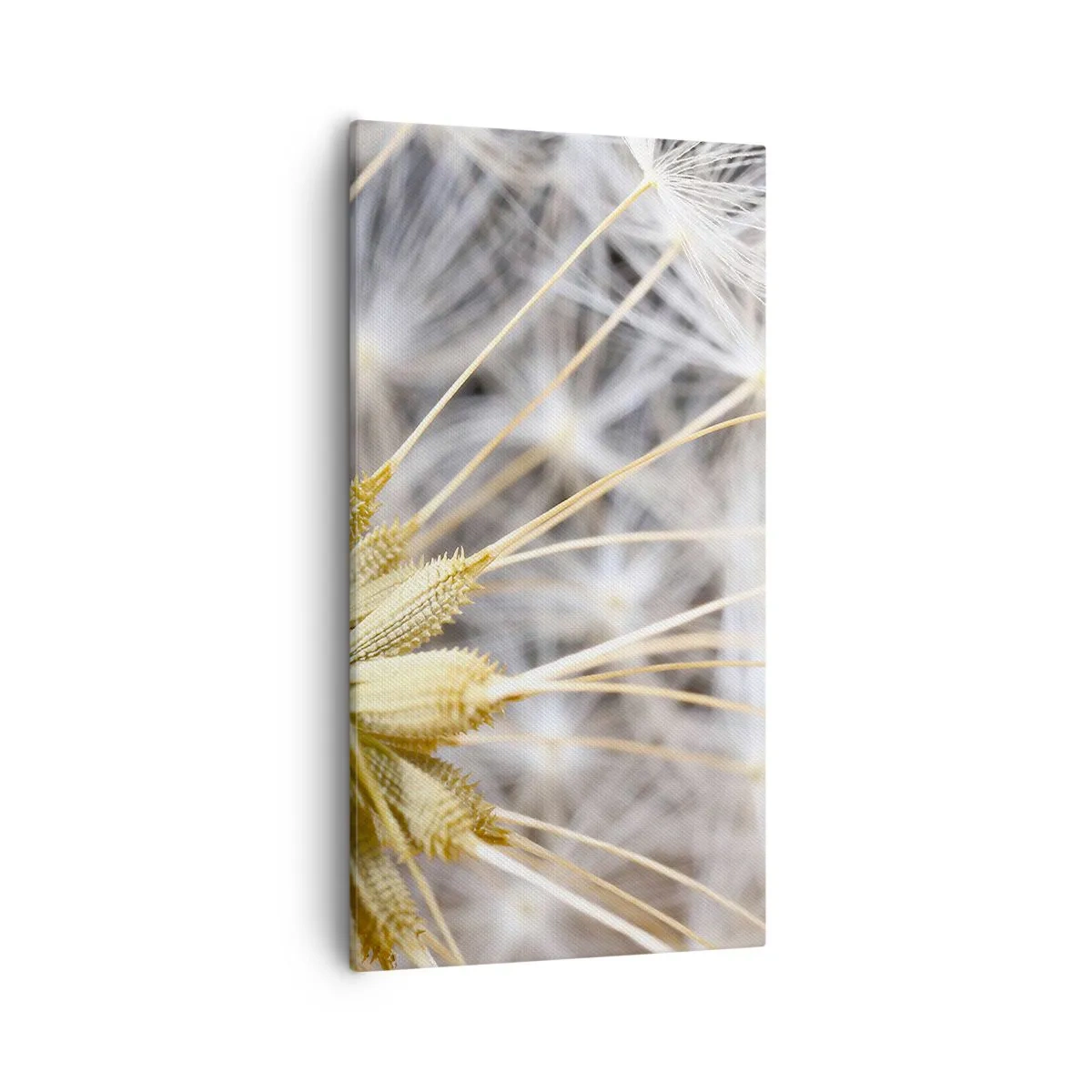 Obraz na plátne - Tesne pred odletom - 55x100 cm