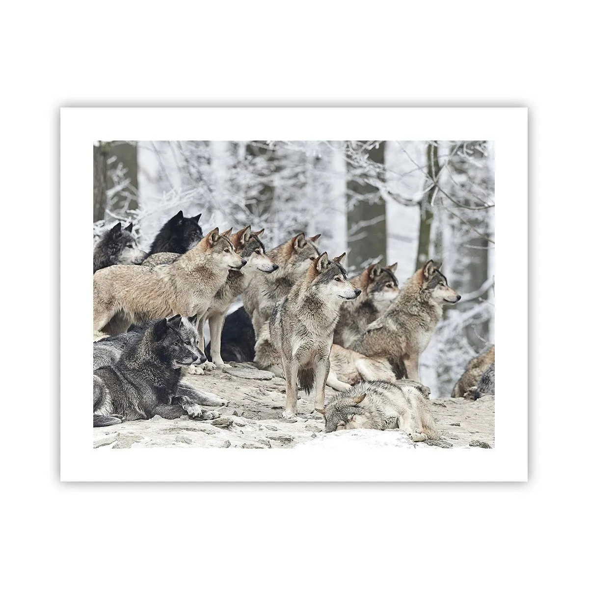 Plagát - Rodina a priatelia - 50x40 cm