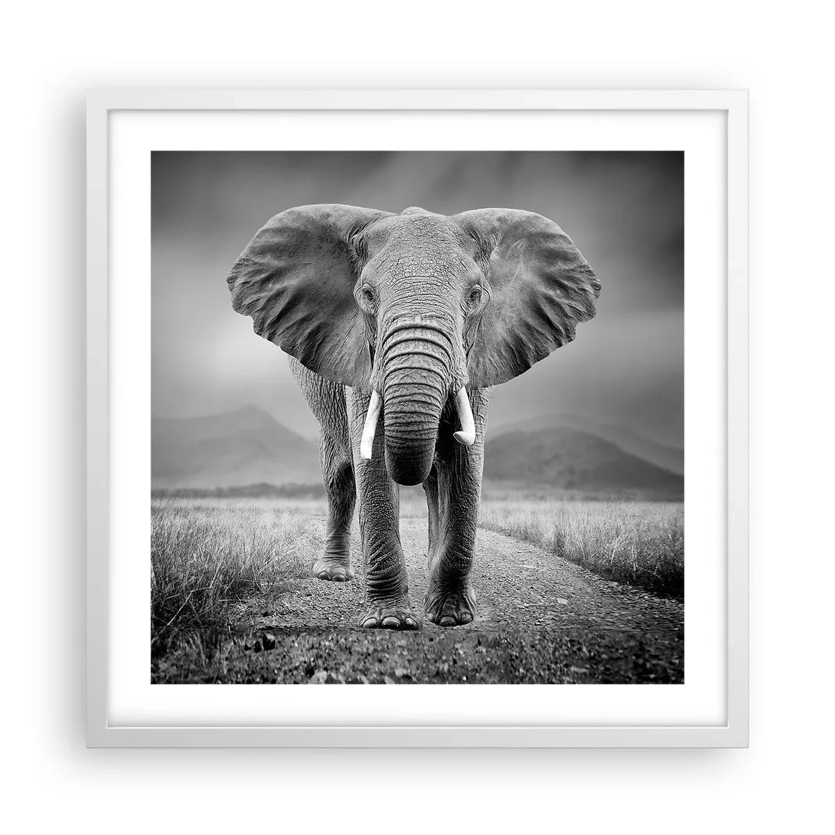 Plagát v bielom ráme - Hostiteľ víta - 50x50 cm