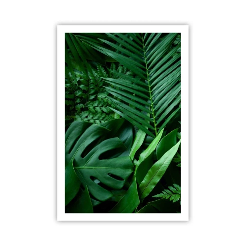 Plagát - Objaté v zeleni - 61x91 cm
