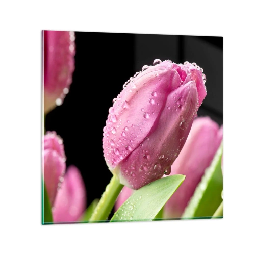 Obraz na skle - Ľaliový sen v rose - 40x40 cm