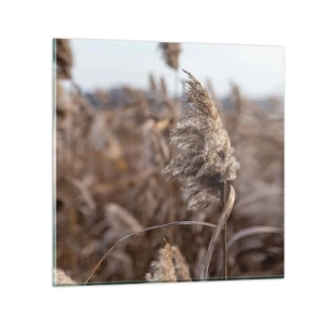 Obraz na skle - Čas odletieť s vetrom - 40x40 cm