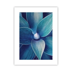 Plagát - Modrastý od neba - 30x40 cm