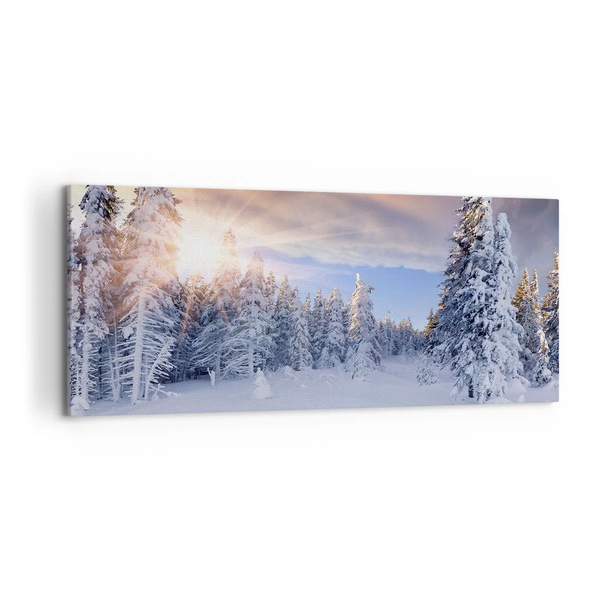 Obraz na plátne - Snežné predstavenie prírody - 120x50 cm