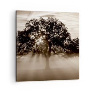 Obraz na plátne - Strom správ samotného dobra - 60x60 cm